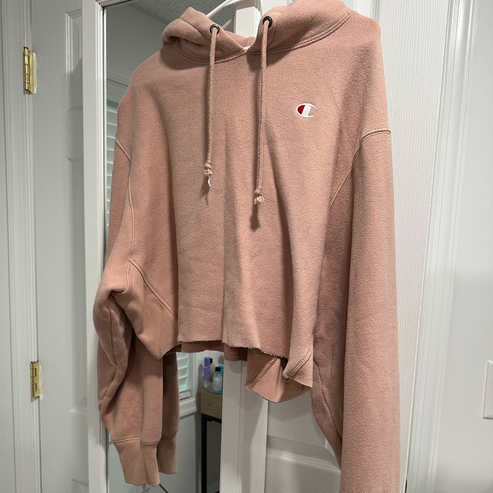 Urban outfitters champion hoodie
